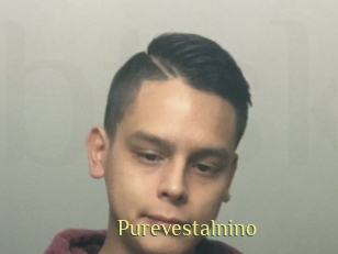 Purevestalnino