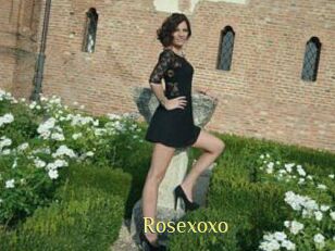 Rosexoxo