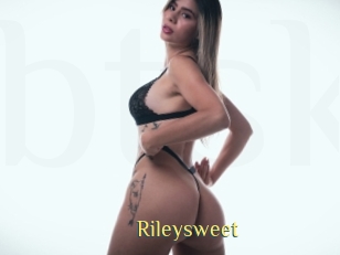 rileysweet Brutal Spankings