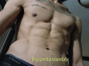 Rippedasian66