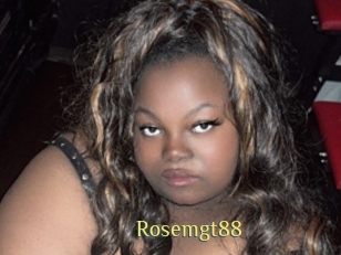 rosemgt88 Brutal Spankings