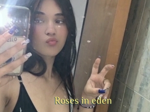 Roses_in_eden