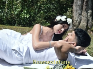 rosesestefany Brutal Spankings