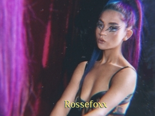 rossefoxx Brutal Spankings