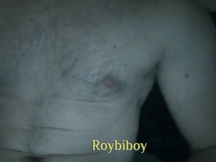 roybiboy Brutal Spankings
