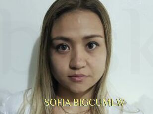 SOFIA_BIGCUMLW