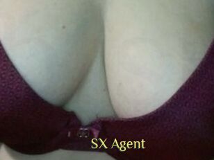 SX_Agent