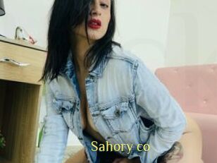 Sahory_co