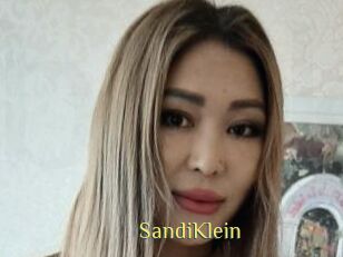 SandiKlein