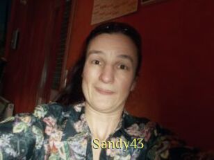 Sandy43