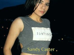 Sandy_Carter