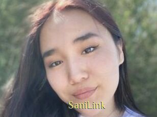 SaniLink