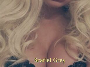 Scarlet_Grey