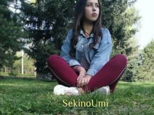 SekinoUmi