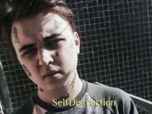 SelfDistruction
