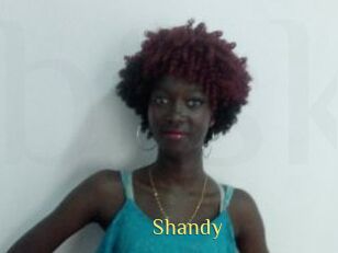 Shandy