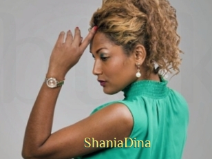 ShaniaDina Brutal Spankings