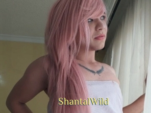 ShantalWild Brutal Spankings