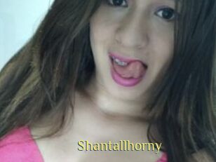 Shantallhorny