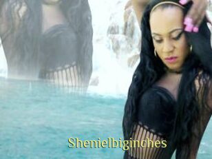 Shenielbiginches