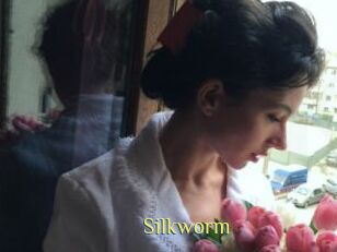 Silkworm