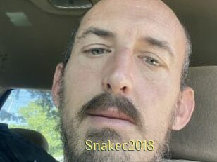 Snakec2018