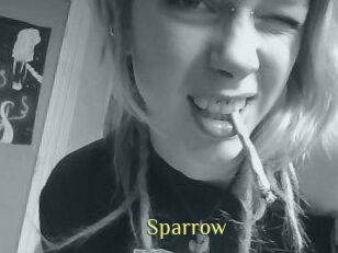 Sparrow