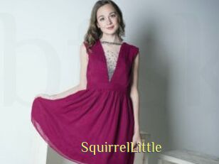 SquirrelLittle
