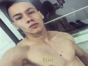 Stier