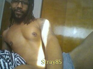 Stray85