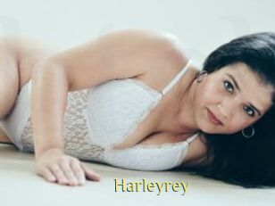 Harleyrey