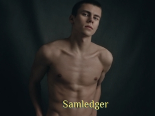 Samledger