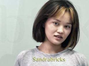 Sandrabricks