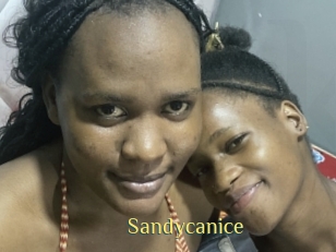Sandycanice