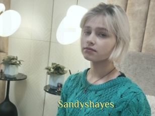 Sandyshayes
