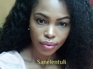 Sanelentuli