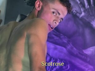 Scotrose