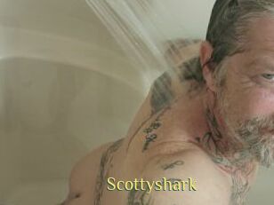 Scottyshark