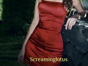 Screaminglotus