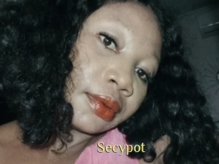 Secypot