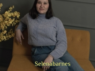 Selenabarnes