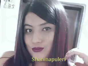 Shaninapuleri