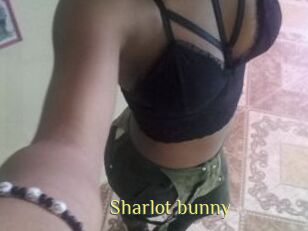 Sharlot_bunny