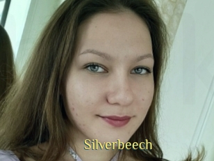 Silverbeech