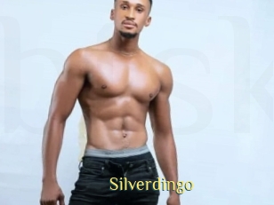 silverdingo Brutal Spankings
