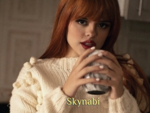 Skynabi