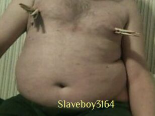 Slaveboy3164