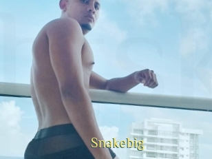 snakebig Brutal Spankings