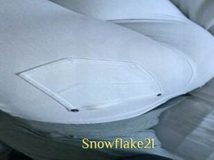Snowflake21