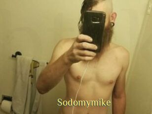 Sodomymike